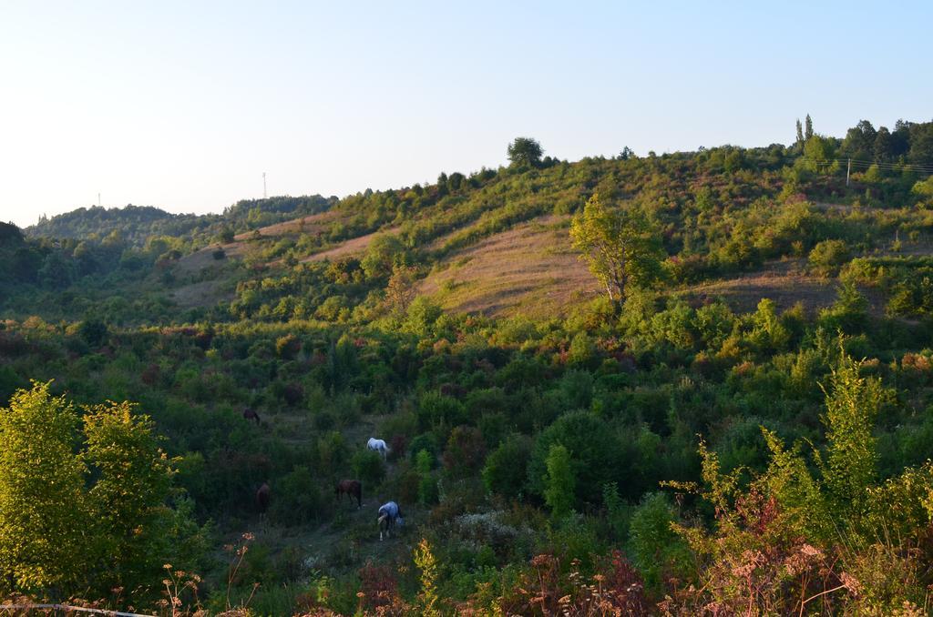 Apartments Fairy Land Rakovica Esterno foto