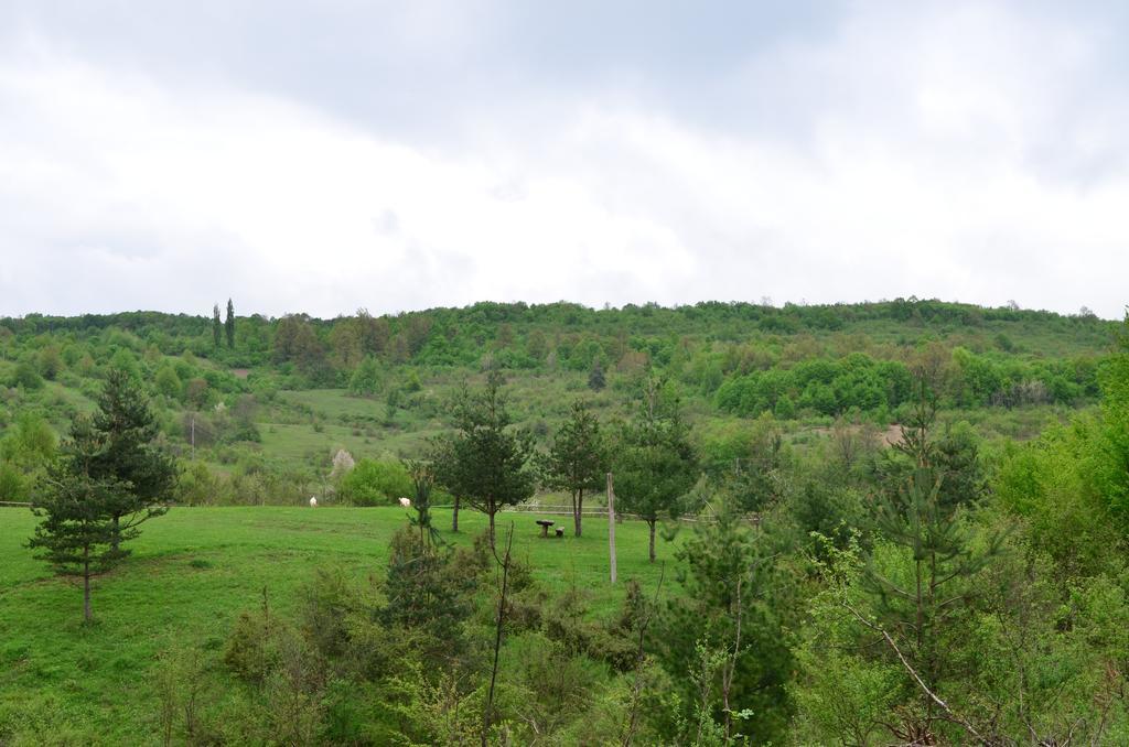 Apartments Fairy Land Rakovica Esterno foto