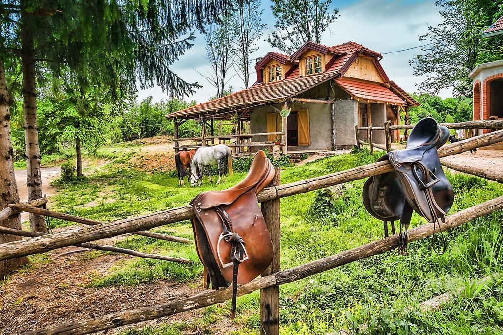 Apartments Fairy Land Rakovica Esterno foto
